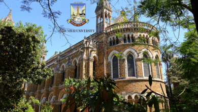 university