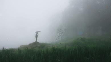 max rain