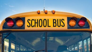 School Bus