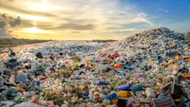 C&D Waste Management