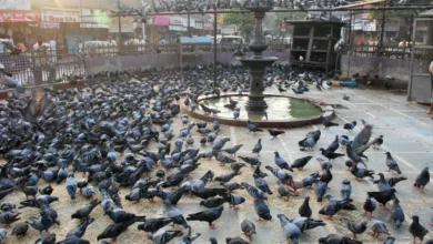 Mumbai Updates