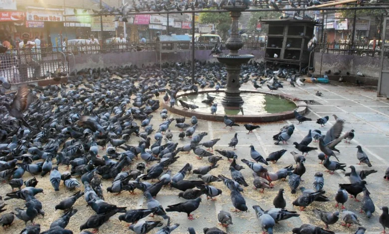 Mumbai Updates